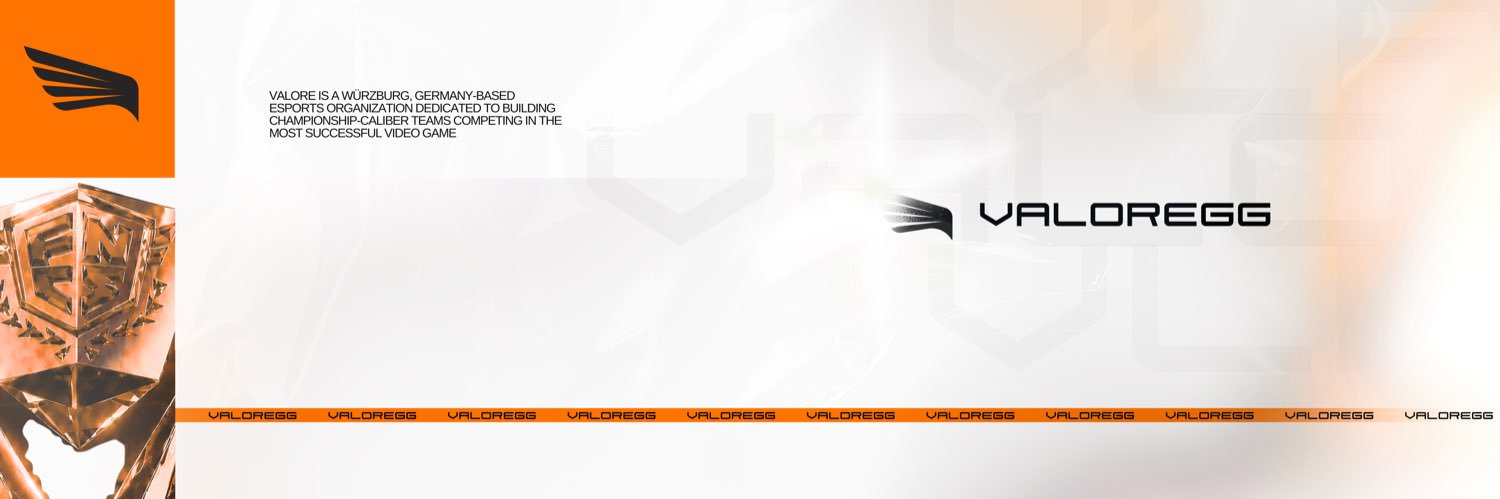 zinol banner