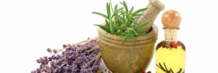 VegNaturopath's profile banner image
