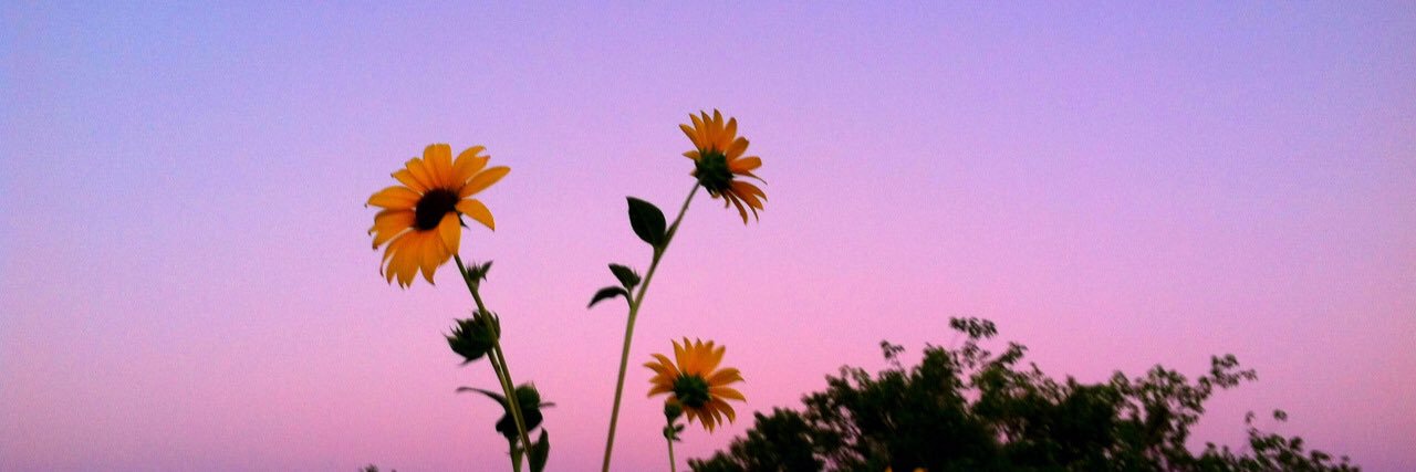 heydanielle_'s profile banner image