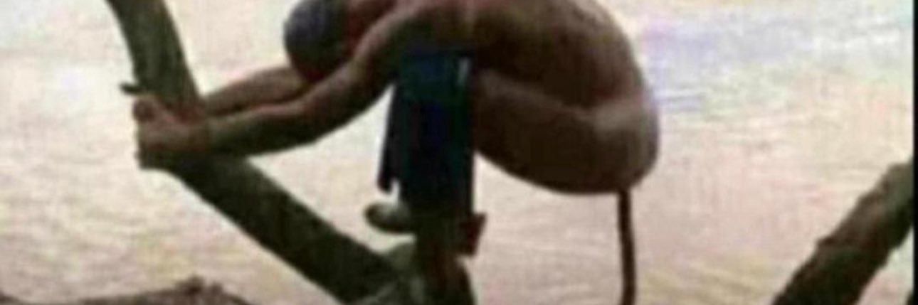 chaos❤️‍🔥 banner