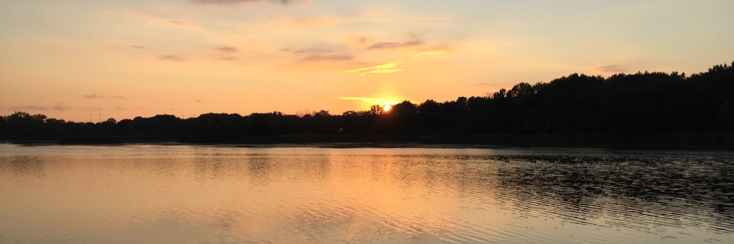 mlawson22's profile banner image