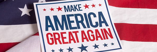 Herman the Frenchie banner