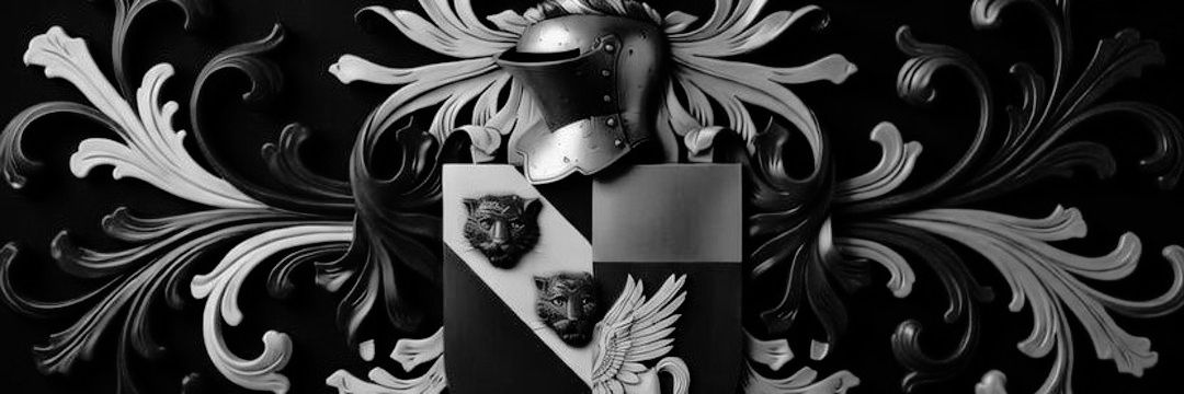 Aaron Quinn banner