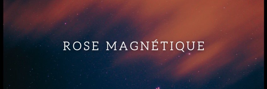 Rose Magnétique banner