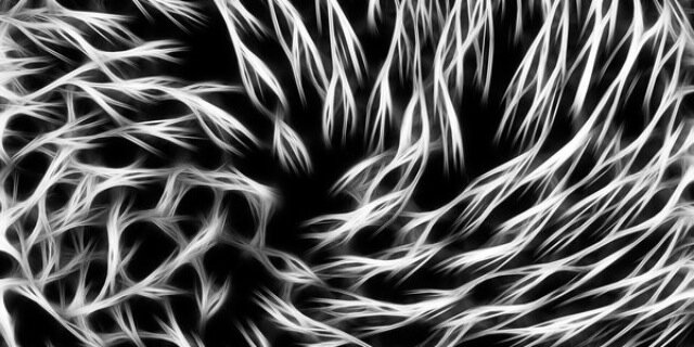 NancyBanik_90's profile banner image