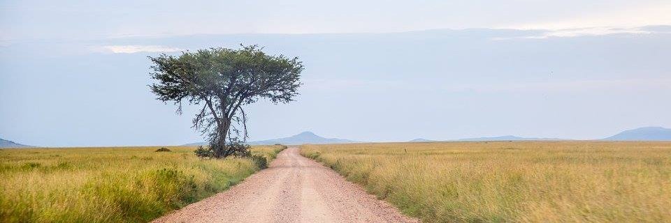 MarkWGaither's profile banner image