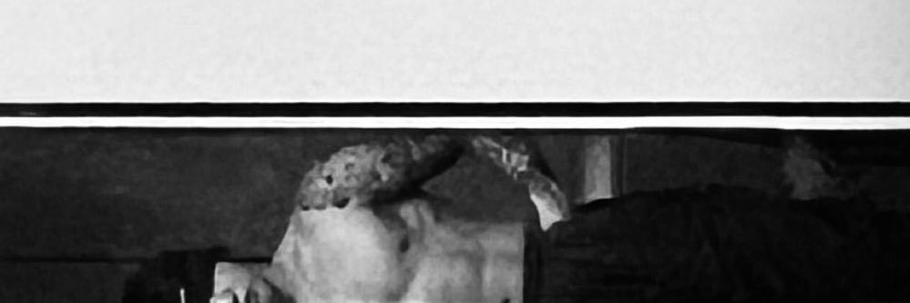 farias banner