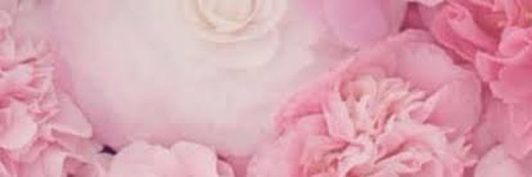 bere00nice Profile Banner