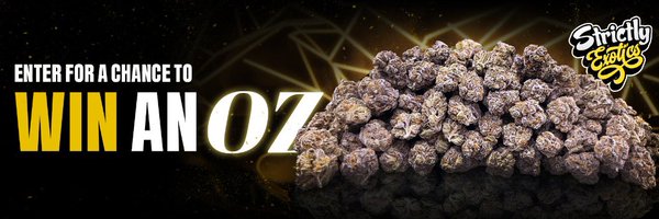 GuzzyDistro Profile Banner
