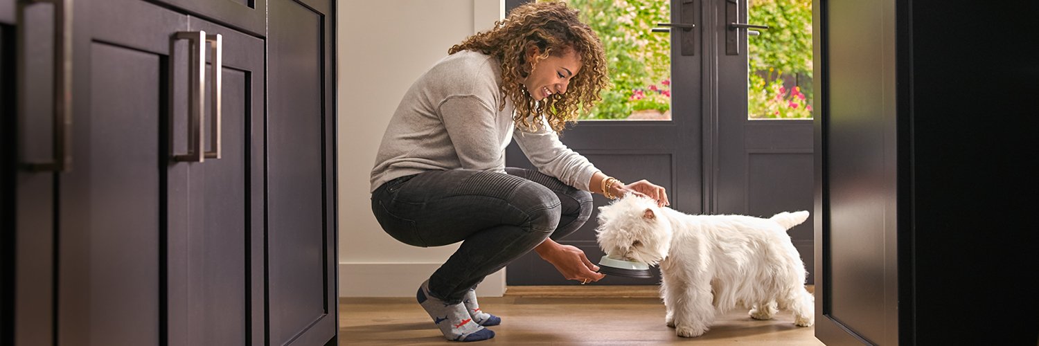 Cesar Canine Cuisine banner