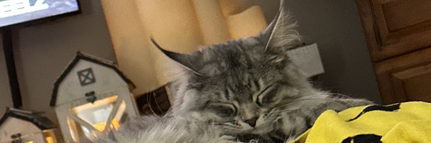MnMissie's profile banner image