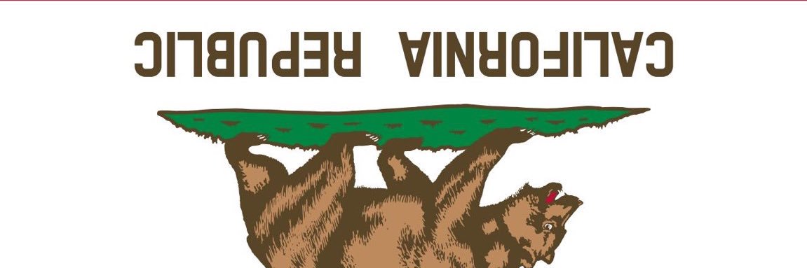 Vince for California's banner
