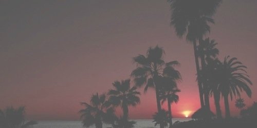 DieNextToLiam's profile banner image