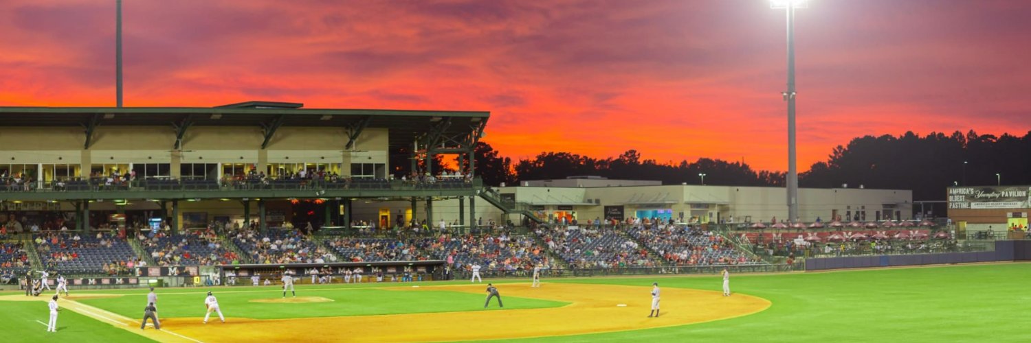 MSBASEBALLFAN banner