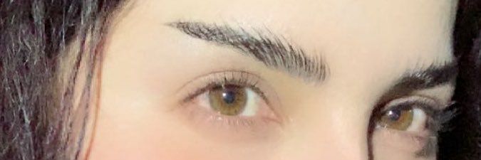 Adela banner