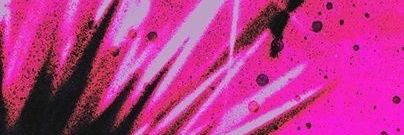 007n7/florian of 𝓯𝓻𝓮𝓪𝓴TWT ; 🍔🧯 banner