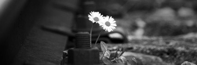 سِـد محمد🚭 banner