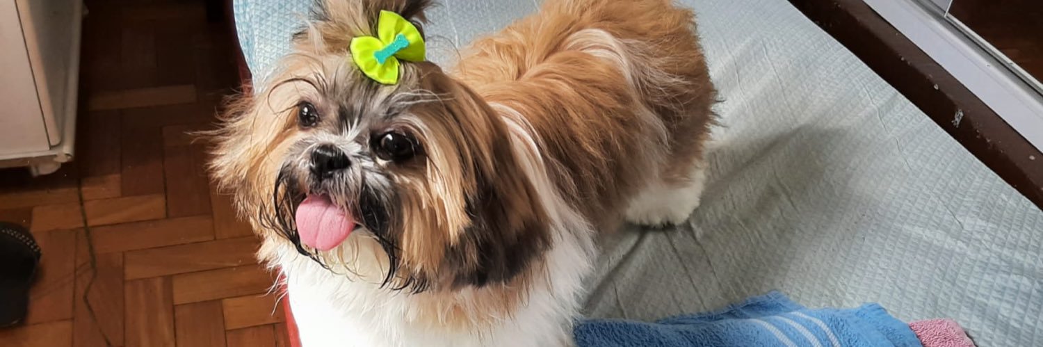 vmahalo's profile banner image