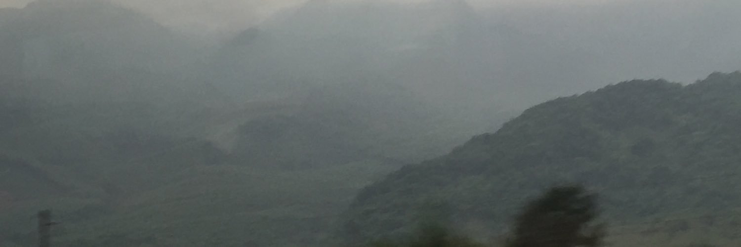 lisaeditor's profile banner image