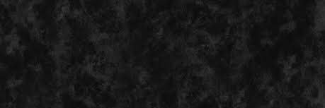 ピクルス banner