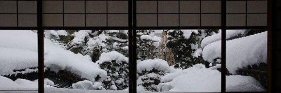 shibariiisan's profile banner image
