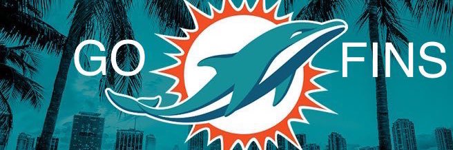 DolFan4Life 🐬 banner