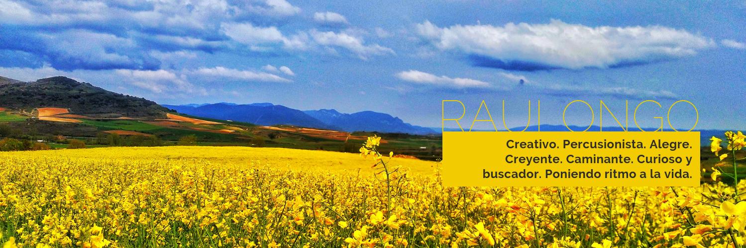 raulongo's profile banner image