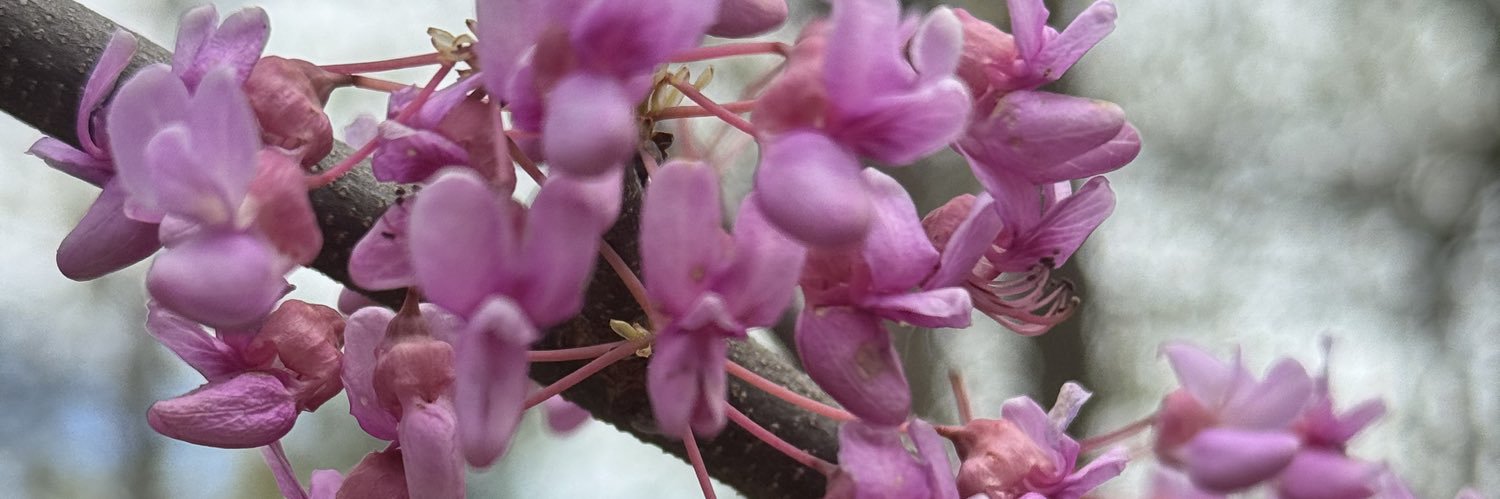 EtherealHeart89 banner