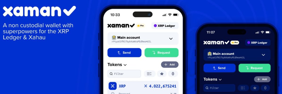 XamenEcosystem's profile banner image