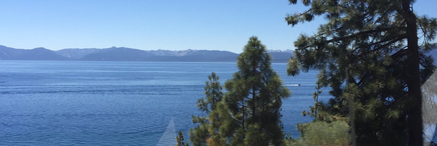 larnerich's profile banner image