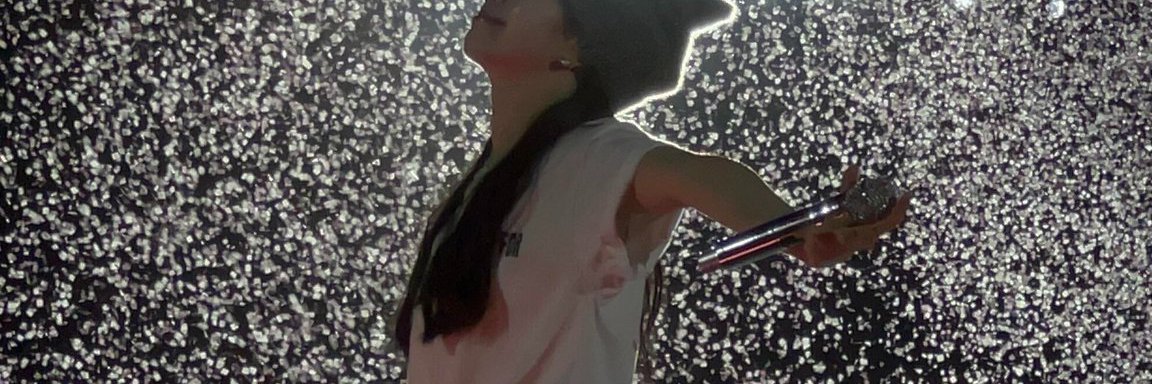 schevanoxa's profile banner image