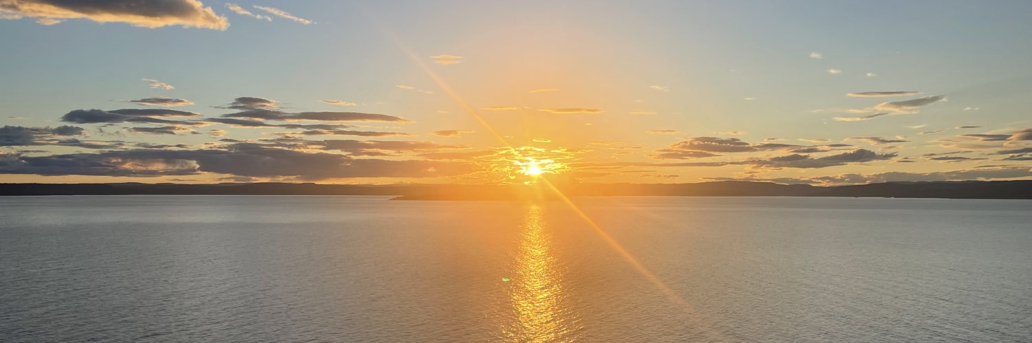 suzydeeblyth's profile banner image