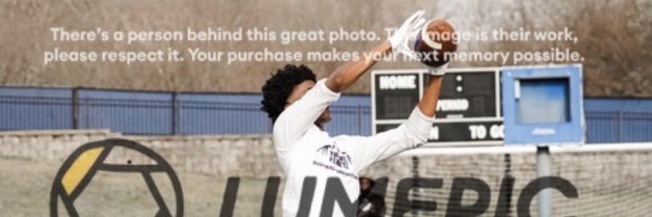 Frankese Winston banner