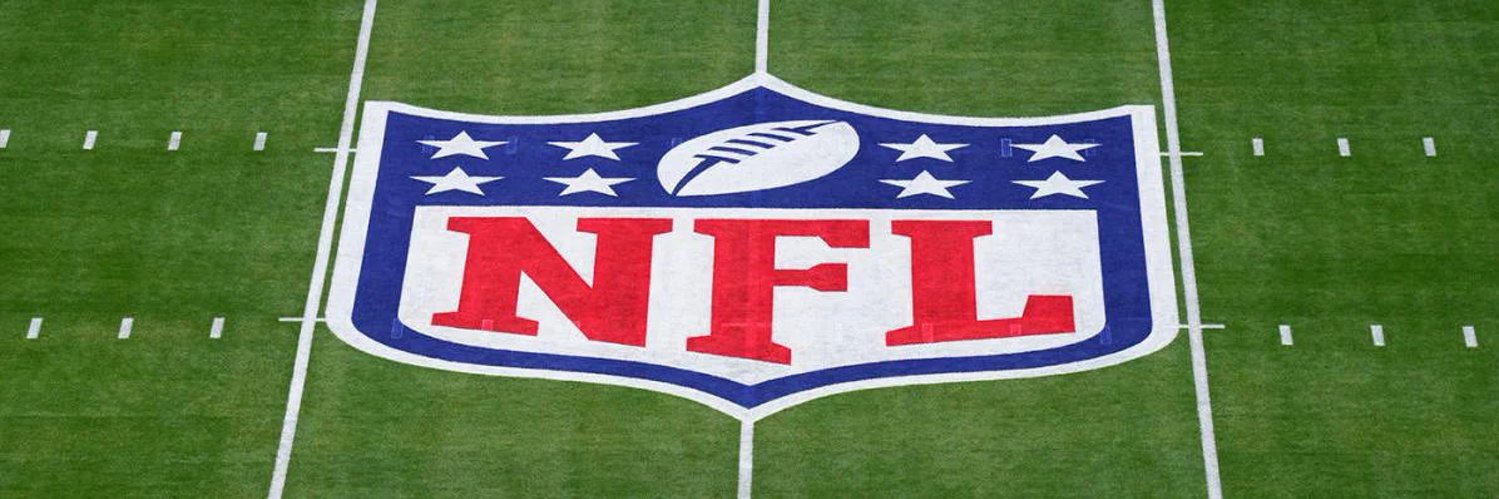 Ensign Gridiron's banner