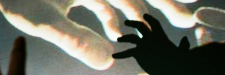 Sara's banner