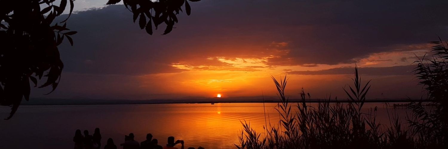 _desireecm's profile banner image