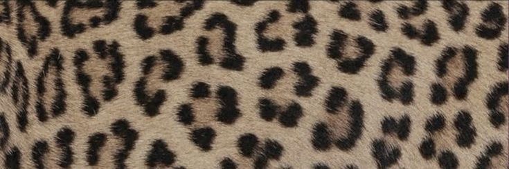 Ellanewssss's profile banner image