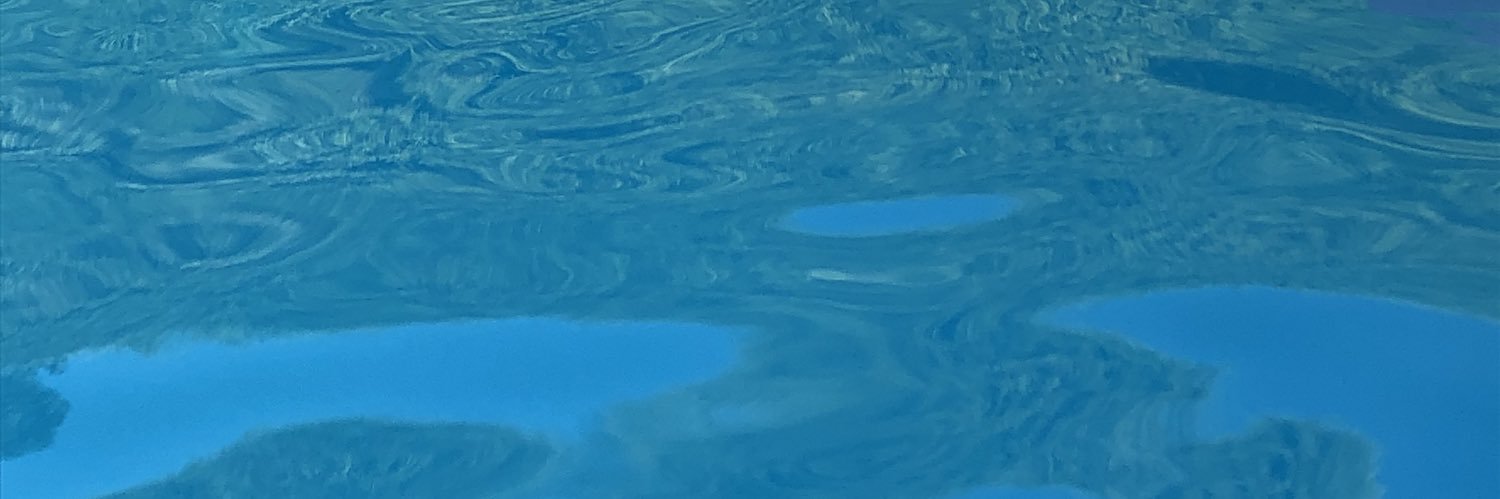 fiszmannadia's profile banner image