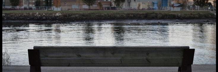 Jessica_Lodeiro's profile banner image