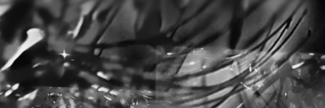 煌 banner
