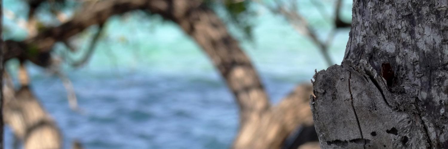 waditat's profile banner image