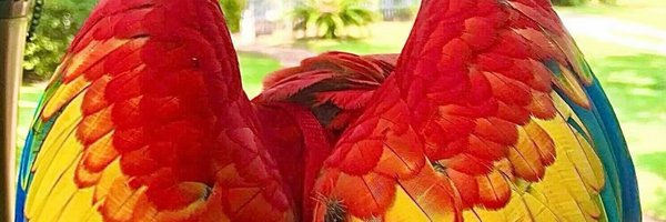 zhaimen07 Profile Banner