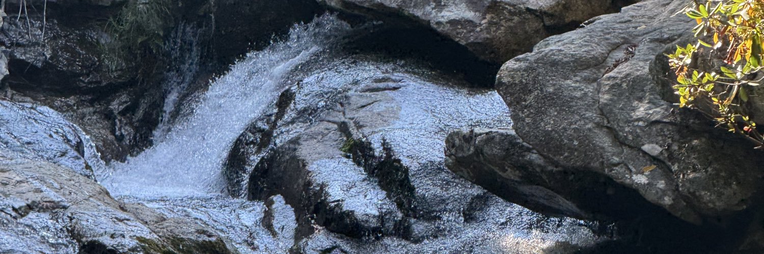 WNCCardsandmore banner