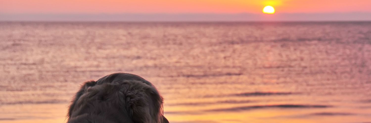 soberfeelme01's profile banner image