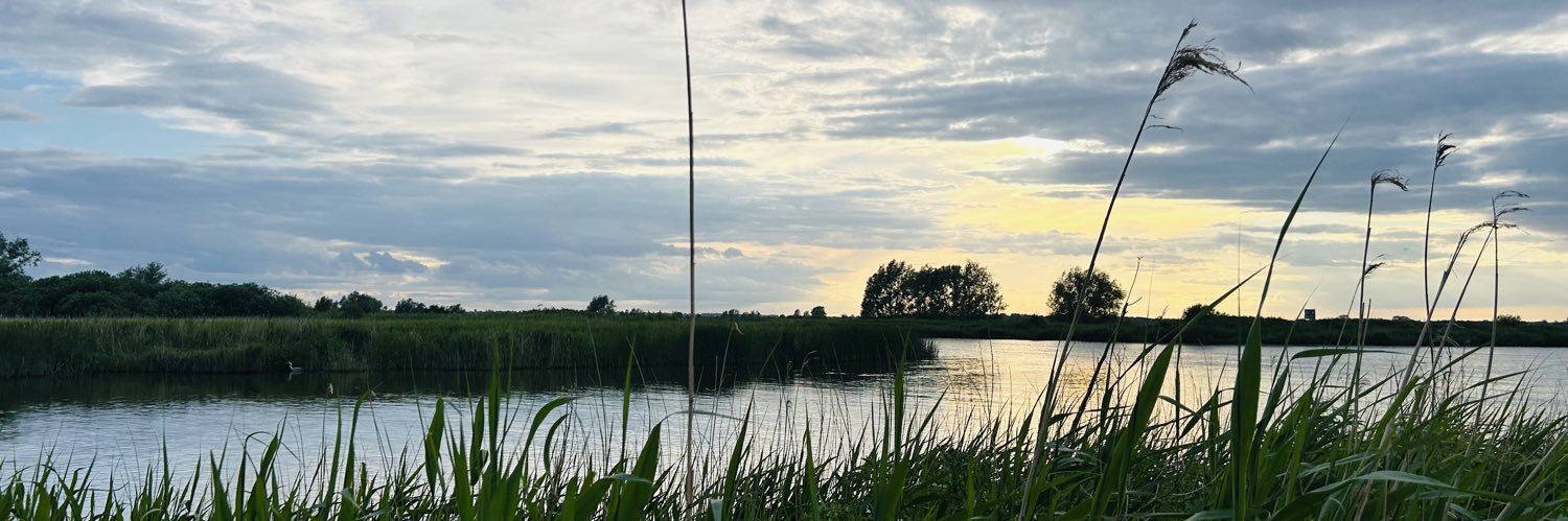 Noelene Maguire  banner