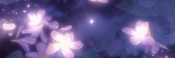 pyspie Profile Banner