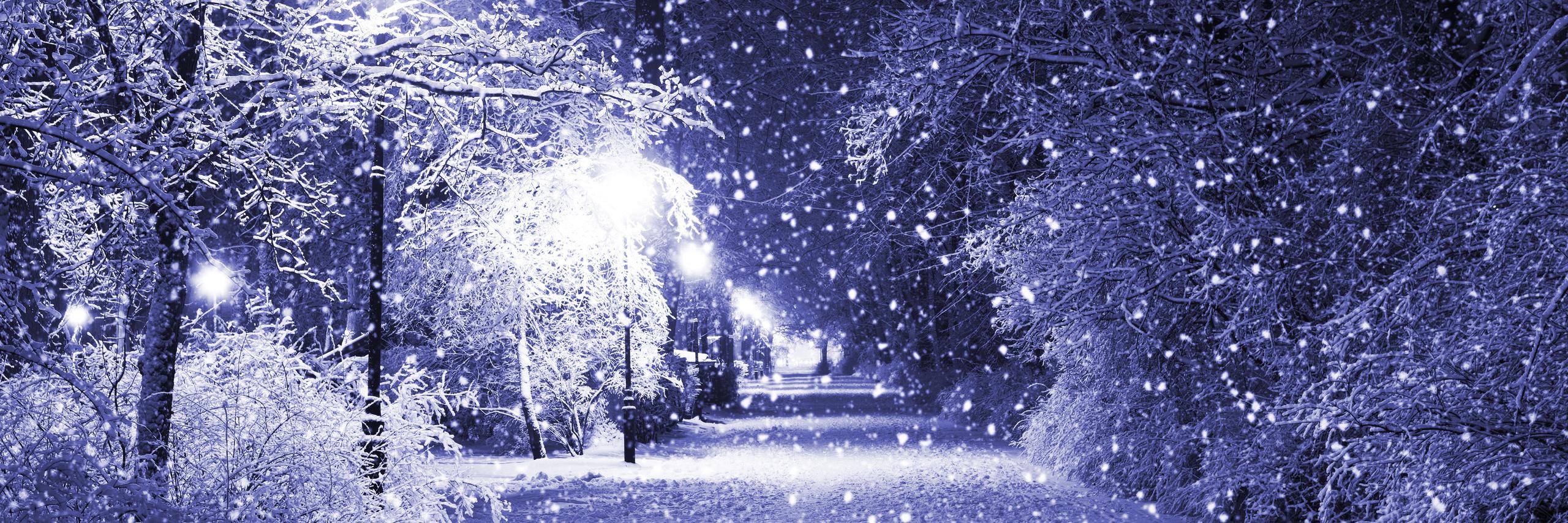 ThatWinterBoy's profile banner image