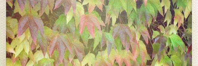 jennyande's profile banner image