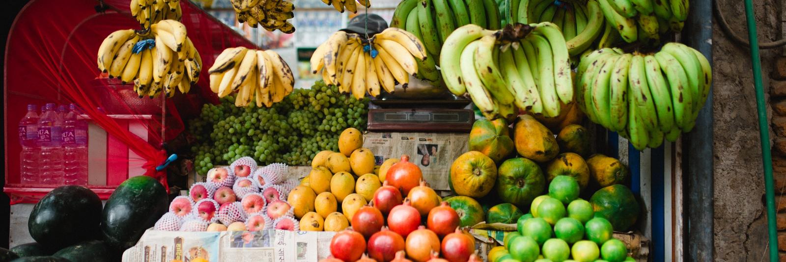 SUN Business Network banner