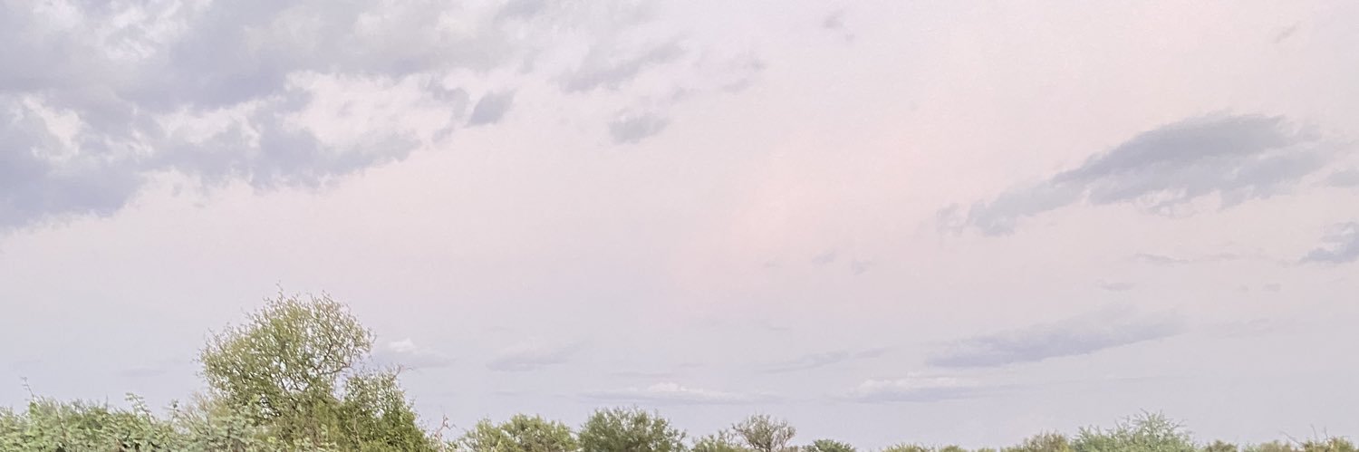 SeniorBenzema10's profile banner image